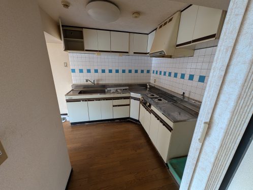 使い勝手の良い広いキッチン (キッチン)