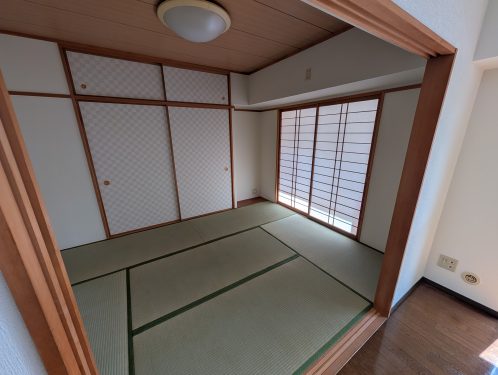 畳表替え済